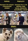 Sama prawda: kobiety vs. mężczyźni
