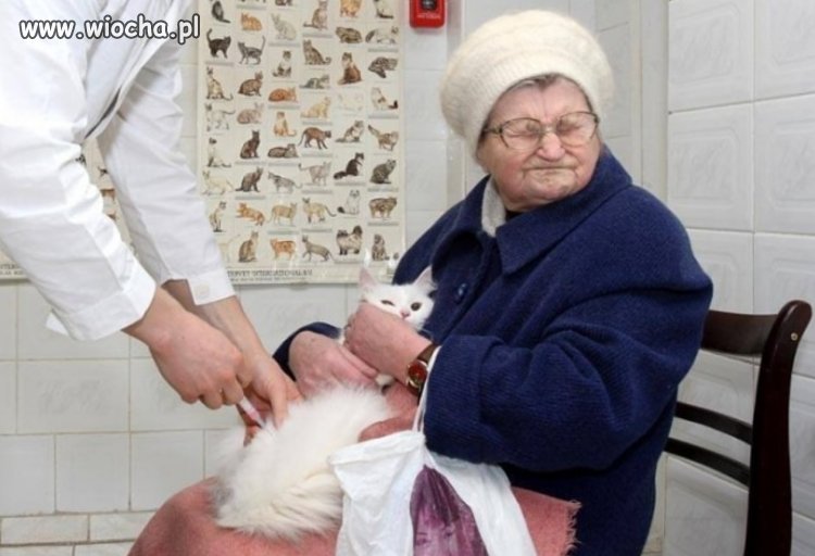 Babcina miłość vs procedury