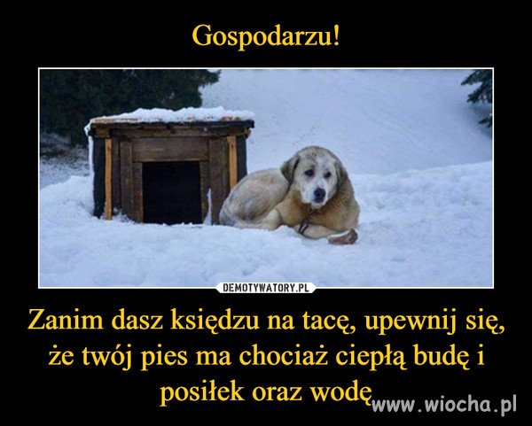 Gospodarzu! 