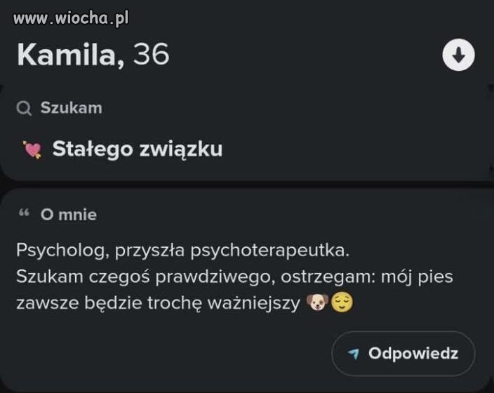 Psychoterapeuta, ale pies ma pierwszeństwo