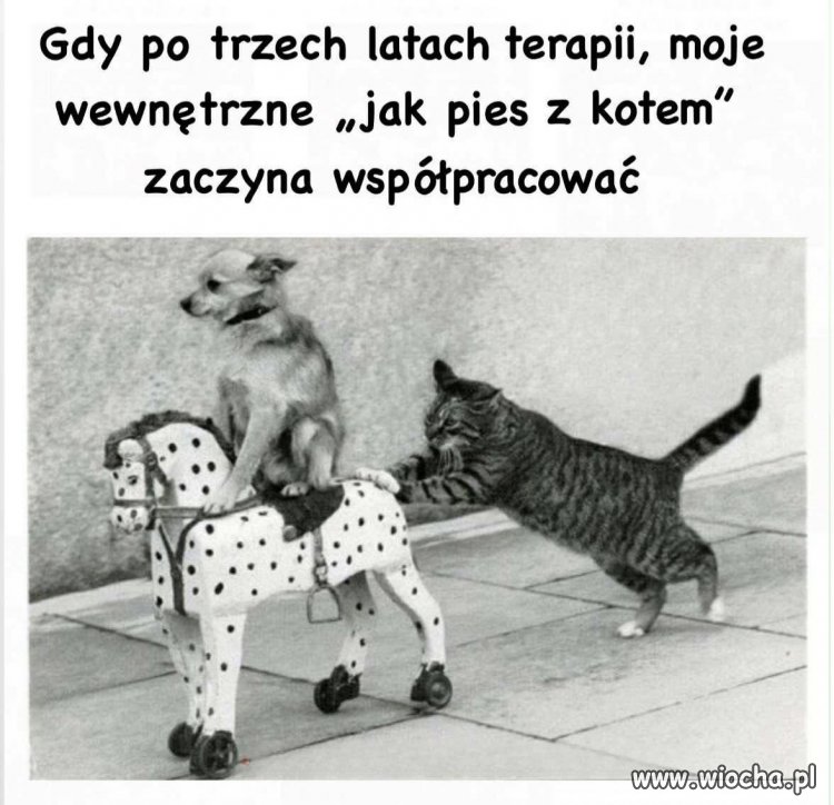 Nareszcie jakiś postęp