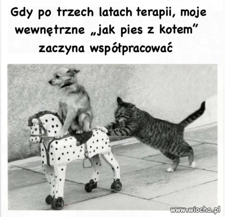 Nareszcie jakiś postęp