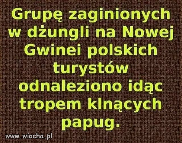 Ślad narodowy