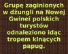 Ślad narodowy