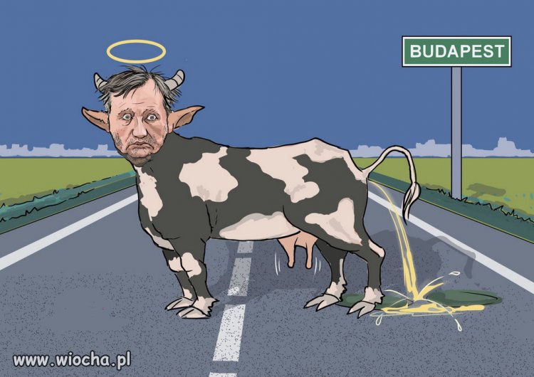 Ziobro topi PiS. Ale Kaczyński go broni