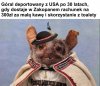 Zakopane czy Nowy Jork? Ceny mówią same za siebie