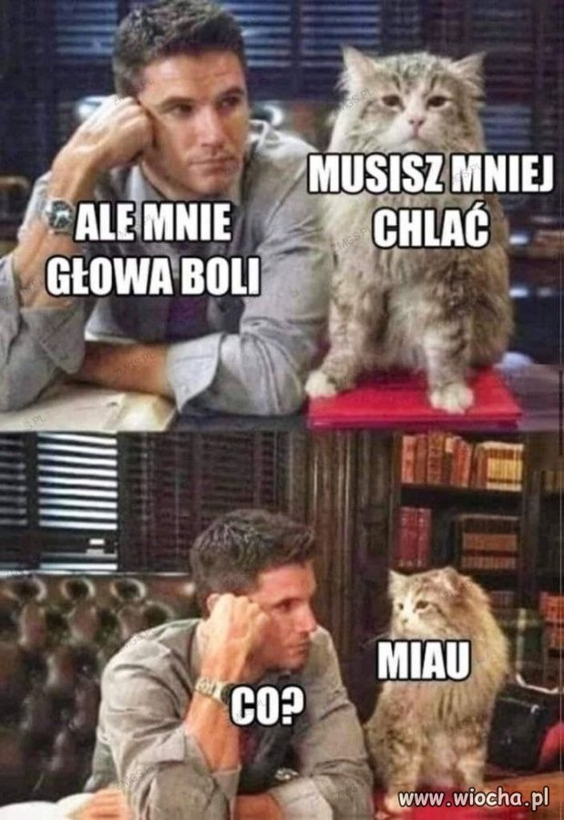 Nikt tak brutalnie nie ocenia