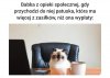 Gdzie się podział mój zasiłek?