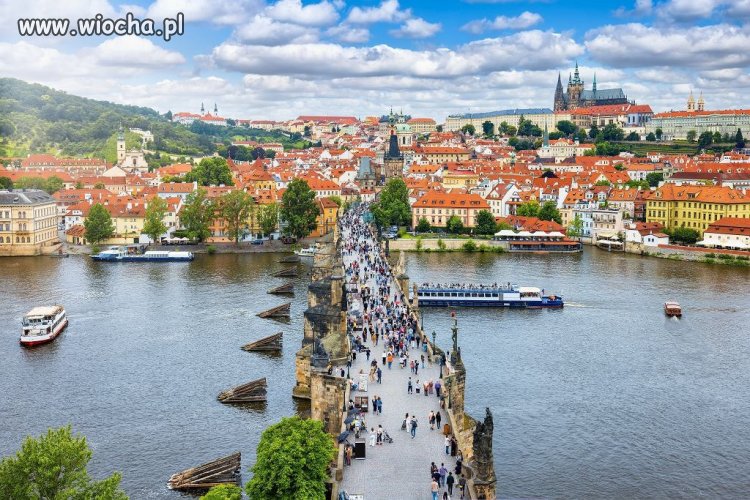 Czechy nie chcą euro. Zachowają swoją walutę na zawsze? Mają zaskakujący plan