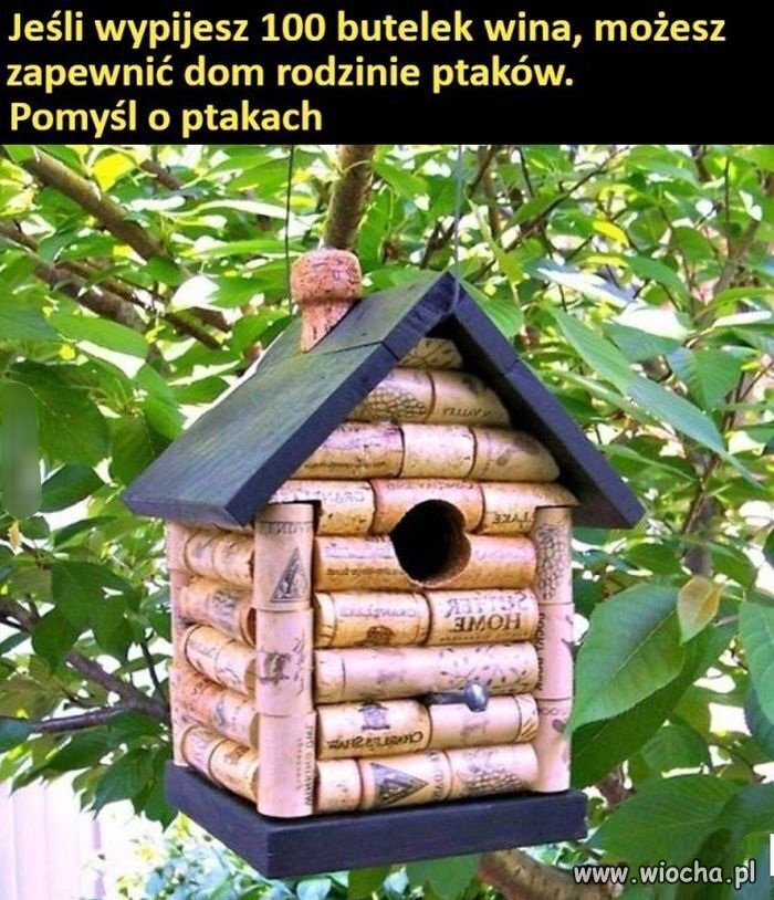 Trzeba dbać o faunę i florę 