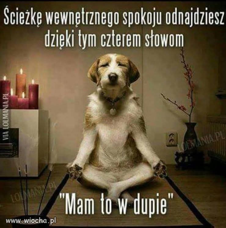 Filozofia życia w skrócie