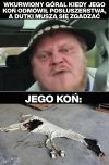 Górale to bydlaki