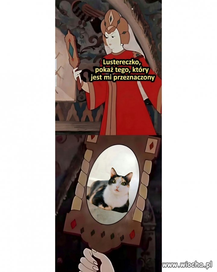 Kiedy znajdziesz męża?