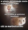 No najgorzej