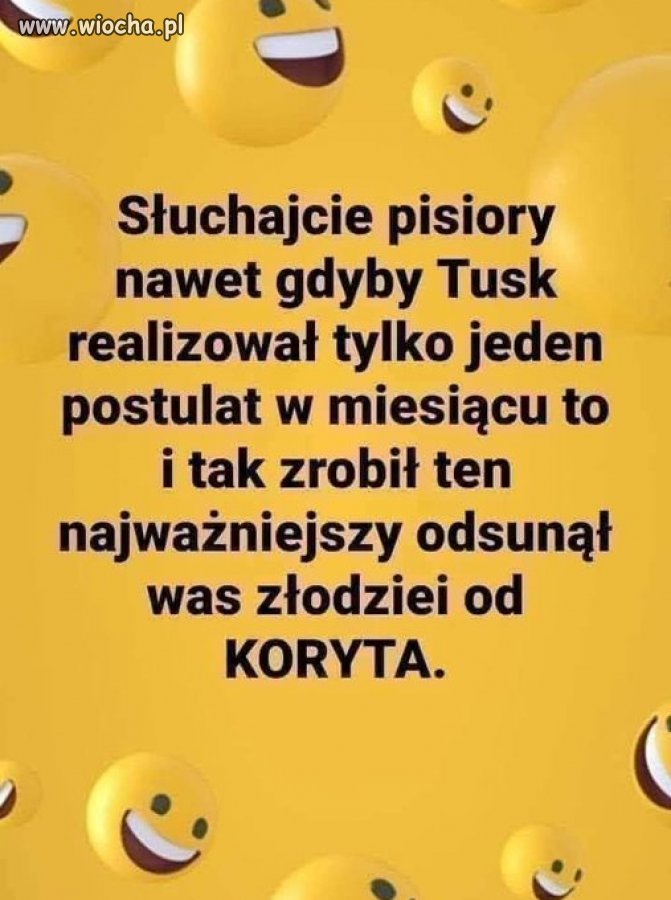 No, może większość