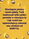 No, może większość