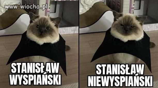 Którym Stanisławem dzisiaj jesteś?
