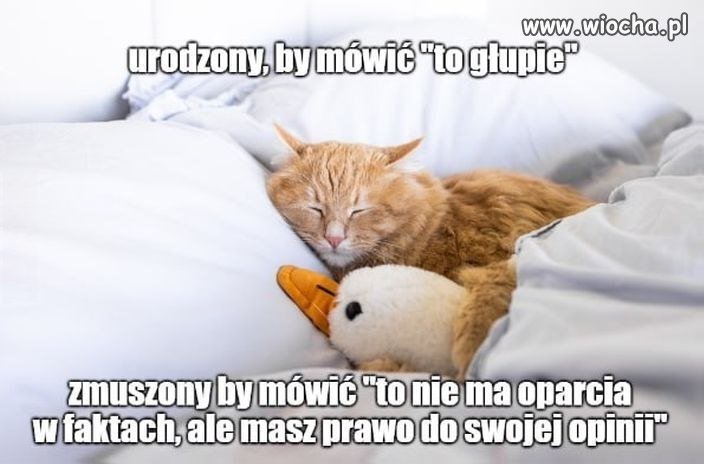 Prawda w świecie opinii