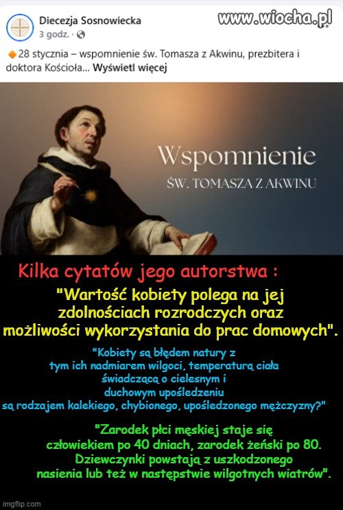 Niedouczony mizogin