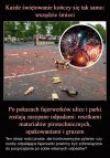 Oczywiście, że tak