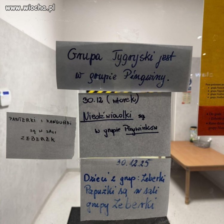 Tatusiom wszystko jedno, bo i tak nie pamiętają nazwy grupy, do której chodzi dzieciak?!