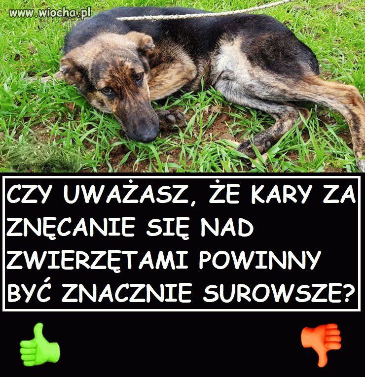 Według Mnie zdecydowanie tak