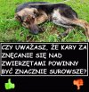 Według Mnie zdecydowanie tak