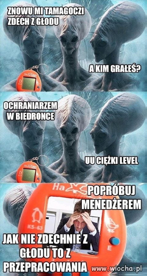 Zwierzątka mówią: