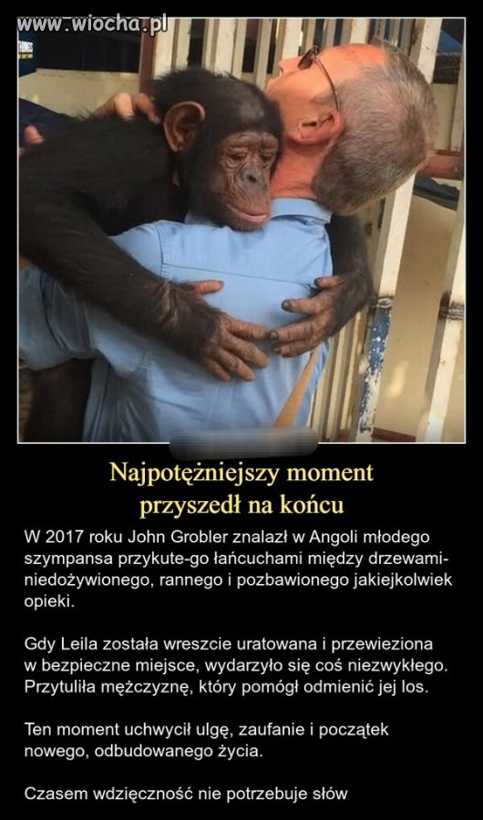 Zwykła empatia 