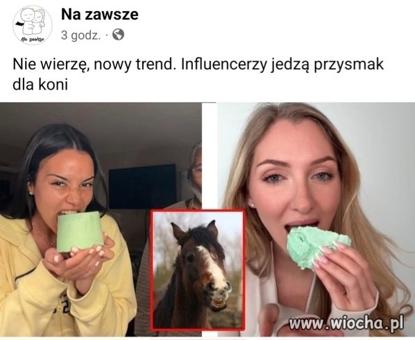 Głupota influ nie zna granic 