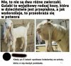 Spotkania po latach: nie tylko ludzie