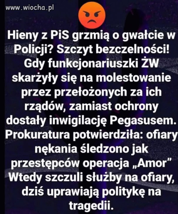 Pisowskie dwulicowe gnidy