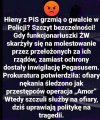Pisowskie dwulicowe gnidy