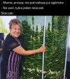 Słoiczek dla słoilka