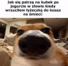 To się zdarza zbyt często