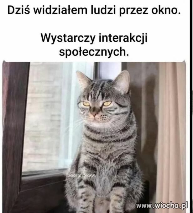 Nie podchodzić