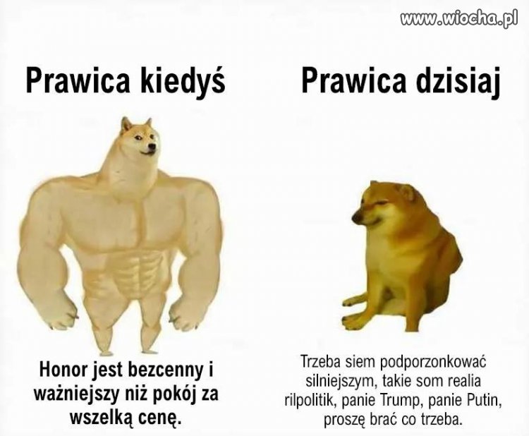 Silni w retoryce, słabi w praktyce