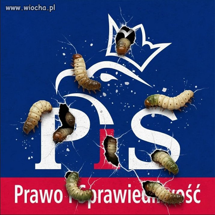 Za PiSu było lepiej ⁉️ Ludzie mają krótką pamięć..