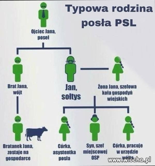 Typowa rodzina posła PSL