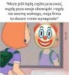 Pracowity clown z nadzieją na premię