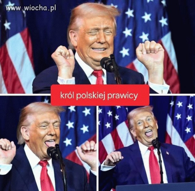 Pomarańczowy idiota
