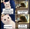 Babcia vs współczesna młodzież