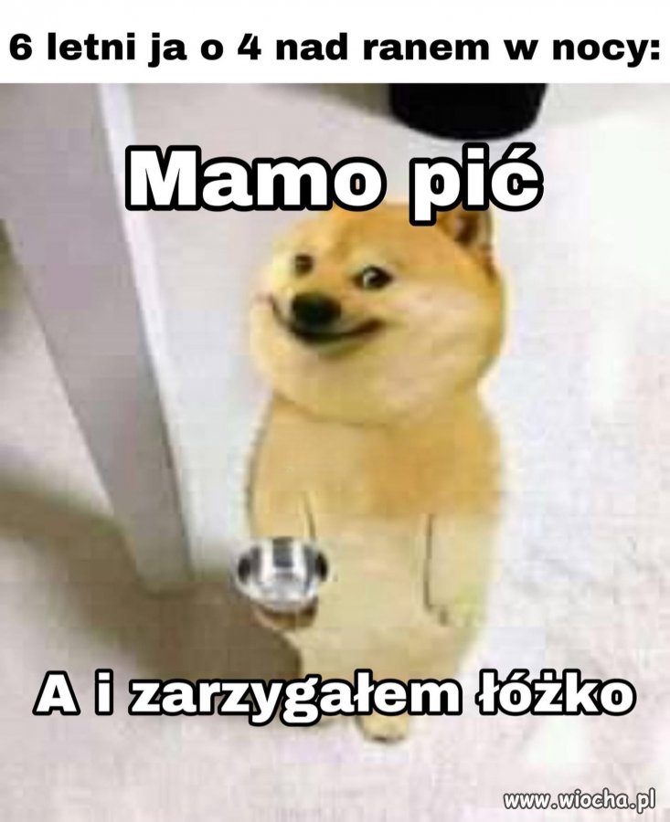 Aha i potrzebuję na jutro mieć blok techniczny