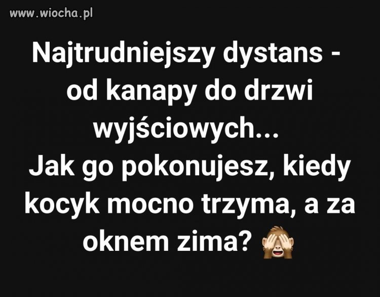 Zimowy maraton z kocykiem