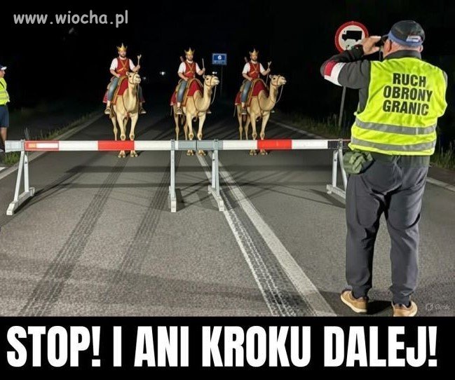 Kontrola graniczna