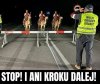 Kontrola graniczna