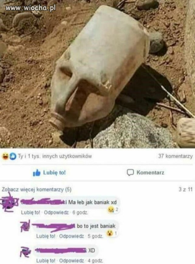 W Internecie można ludziom wszystko wkręcić