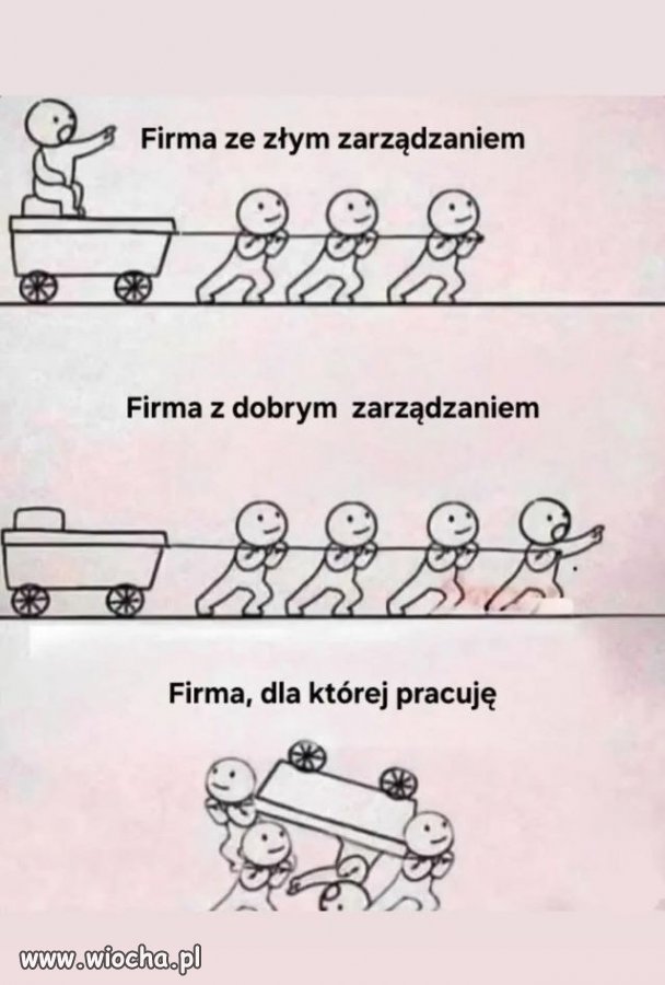 Zarządzanie w skrócie