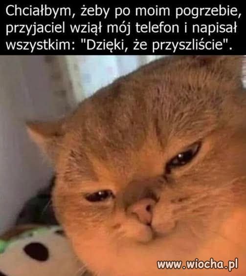 Kultura osobista