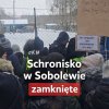 Zwierzątka śpiewają: "To jest już koniec, nie ma już nic